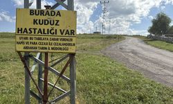 Bir kuduz vakası daha! Bölge karantina altına alındı