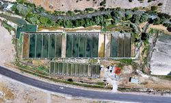 Van’da alabalık yetiştiricisi tesisinin kapasitesini 250 tona çıkardı