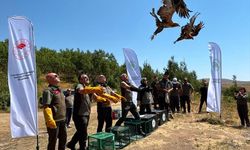 Van’da tedavileri tamamlanan kuşlar doğaya salındı!