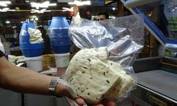 Van’dan dönüşün en lezzetli yükü: Van’ın gözdesi "sarı altın" fiyatıyla cep yakıyor!