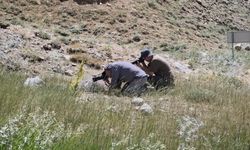 Doğa tutkunları Van’da buluşarak nadir türlerin peşine düştü