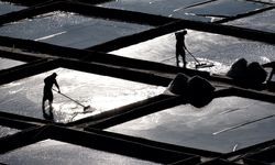 3 bin yıllık gelenek sürüyor: Suyu ekip tuz biçiyorlar