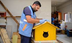Van’da geri dönüşüm malzemeleri kedi kulübesine dönüşüyor!