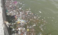 Van Gölü’nde kirlilik her yeri sardı!
