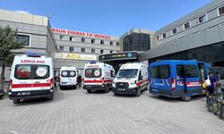 Son dakika: Van'da göle giren 2 kardeş hayatını kaybetti!