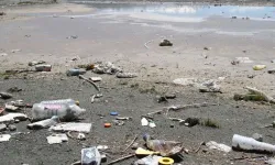 Uyarılar sonuç vermedi: Van Gölü sahillerinde yine aynı manzara!