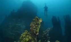 Van Gölü'nün derinliklerinde keşfedildi: Boyutu 40 metre!