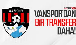 Vanspor’dan bir transfer daha!