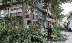 Van'ın cadde ve sokalarına Sonbahar dokunuşu!