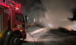 Van'da binlerce bağ ot yandı!