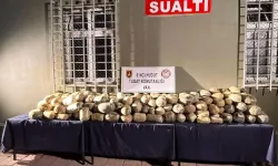 Van'daki uyuşturucu operasyonunda bir şüpheli gözaltına alındı!