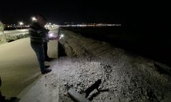 Van Gölü sahilinde ilginç görüntüler ortaya çıktı!