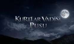 Kurtlar Vadisi Pusu dizisine inceleme!