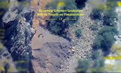 Van hattına operasyon: 43 tutuklama, 131 araç ele geçirildi!