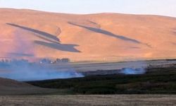 Van’da birçok kuş türüne ev sahipliği yapan alanda yangın çıktı!