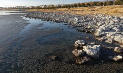 Van Gölü'nde yeni ölümcül tehlike!