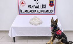 Van yolcu otobüsünde uyuşturucu yakalandı: 1 kişi tutuklandı!