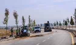 Van Sahil Yolu’na yeşil dokunuş!