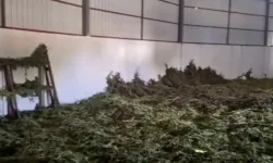Dev operasyonda dudak uçuklatan rakam: 2 ton uyuşturucu madde ele geçirildi!