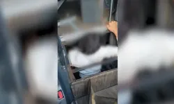 Van’dan Ankara’ya giden otobüste akılalmaz zula: Gizli bölmede göçmen yakalandı!