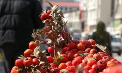 Van’da kışın habercisi alıç tezgâhlarda: Kilosu cep yakıyor!
