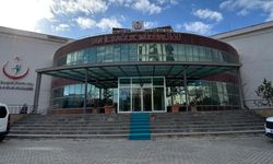 Van sağlığına dev kadro takviyesi! 91 yeni hekim geliyor
