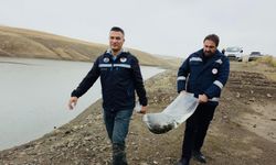 Van’da 8 farklı su kaynağına yüzlerce yavru bırakıldı!