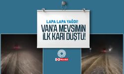 Lapa lapa yağdı! Van’a mevsimin ilk karı düştü!