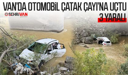 Van’da otomobil Çatak Çayı’na uçtu: 3 yaralı