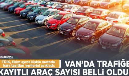 TÜİK açıkladı: Ekim ayında Van’da trafiğe kayıt olan araç sayısı belli oldu