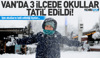 Van'da 3 ilçede okullar tatil edildi! 11 Şubat kar tatili ilçeler