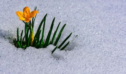 2026 Cemre takvimi belli oldu! İlk Cemre ne zaman düşecek?