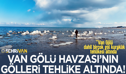 Van Gölü Havzası’ndaki bütün göller tehlike altında!