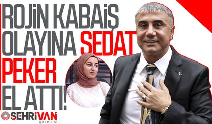 Van’da cansız bedeni bulunan Rojin Kabaiş’in katilini bulana 25 milyon lira ödül!
