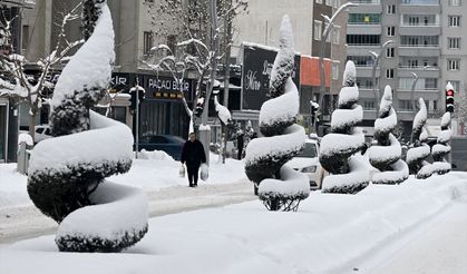 Van'da seyirlik kar manzaraları! İşte kartpostallık kar manzaraları…