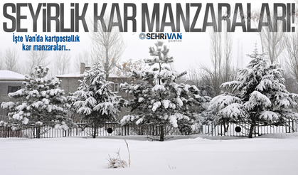 Van'da seyirlik kar manzaraları! İşte kartpostallık kar manzaraları…