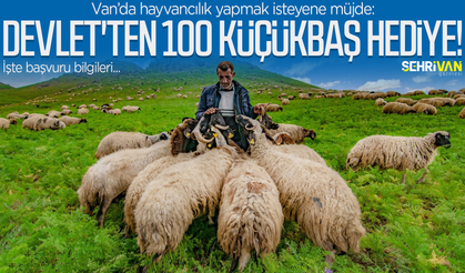 Başvuran alıyor! Vanlı çiftçilere 100 küçükbaş hayvan desteği!