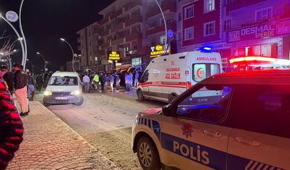 Van’da kamyonet ile otomobil kafa kafaya çarpıştı: 2 yaralı!