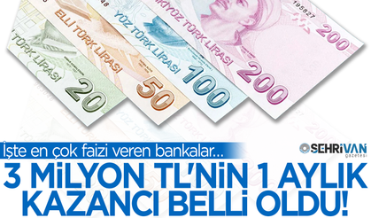 3 milyon TL'nin 32 günlük kazancı belli oldu! İşte en çok faizi veren banka