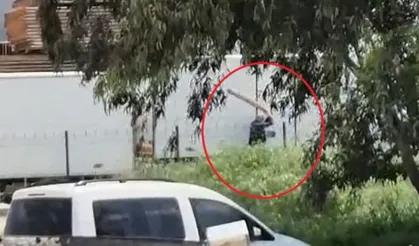 Adana'da sokak köpeğini sopayla döven kişi gözaltına alındı!