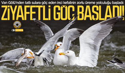 Van’da ezber bozan yolculuktan nefes kesen görüntüler!