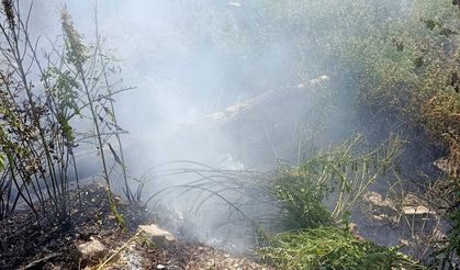 Van'da ağaçlık alanda çıkan yangın paniğe neden oldu!