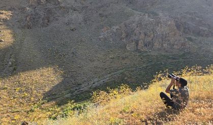 Van’da doğa gözlemcilerinin yeni rotası şaşırttı!