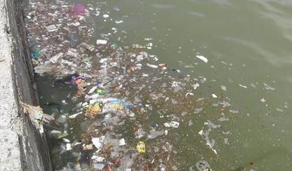 Van Gölü’nde kirlilik her yeri sardı!