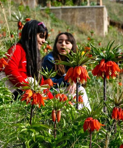 Van’da bu çiçeği koparan yandı: Cezası 700 bin TL!