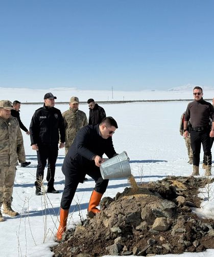 Van’da doğaya yem bırakıldı!