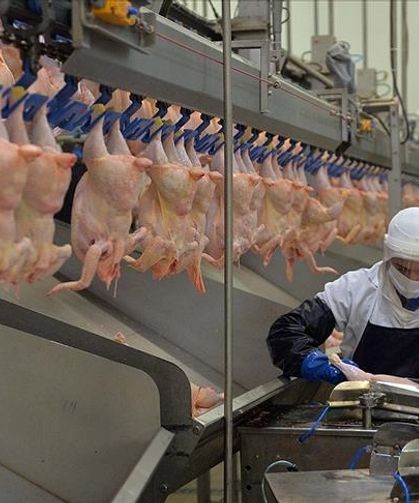 Tavuğa "Ramazan" ayarı: Bu karar fiyatları düşürür!