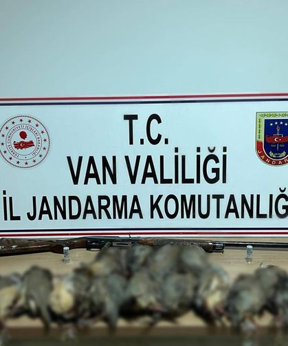 Van'da keklik avına on binlerce lira ceza!