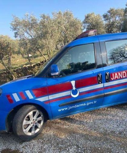 Van’da ele geçirildi: Değeri milyonlarca lira