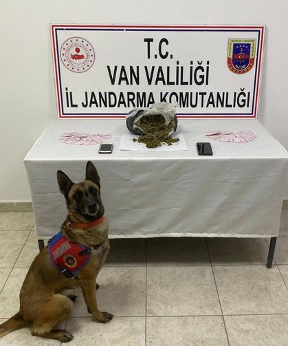 Van’da 1 kilo 64 gram yasaklı madde ele geçirildi